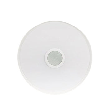 Smart Ceiling Lamp