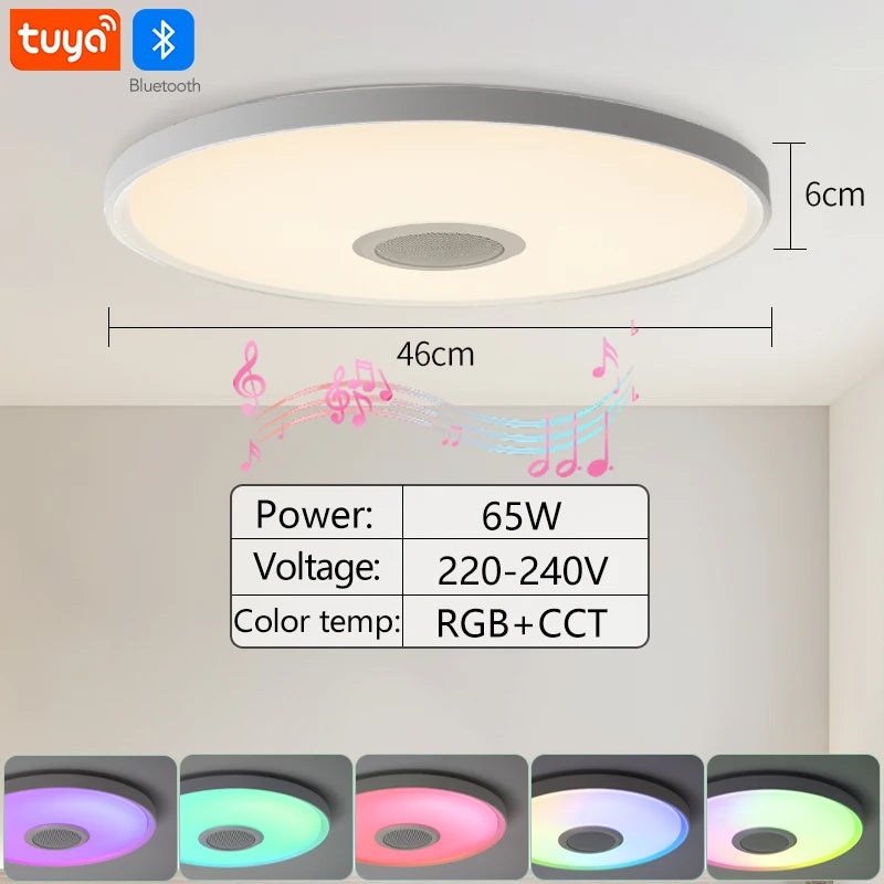 Smart Ceiling Lamp