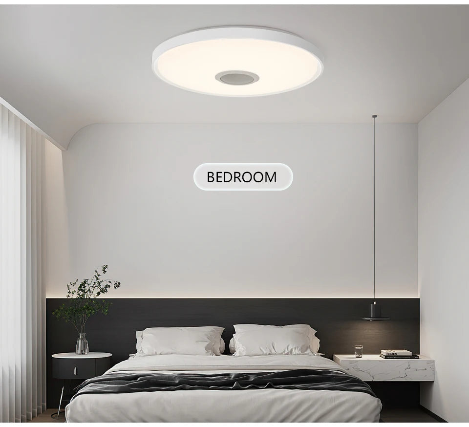 Smart Ceiling Lamp