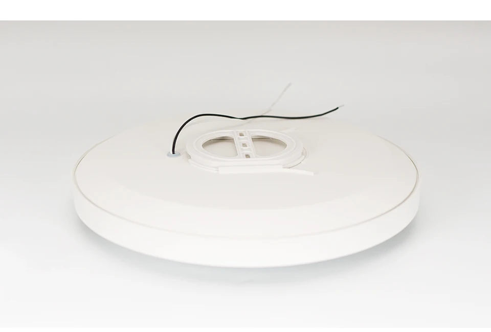 Smart Ceiling Lamp