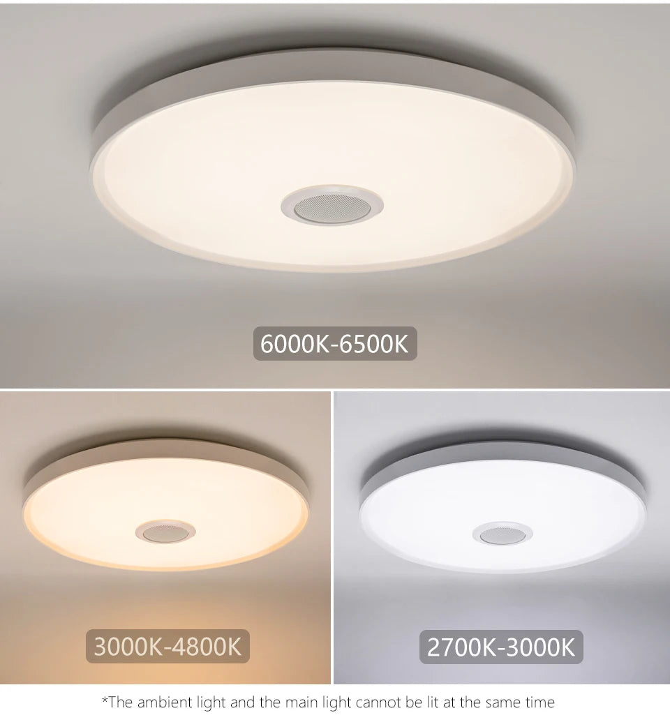 Smart Ceiling Lamp