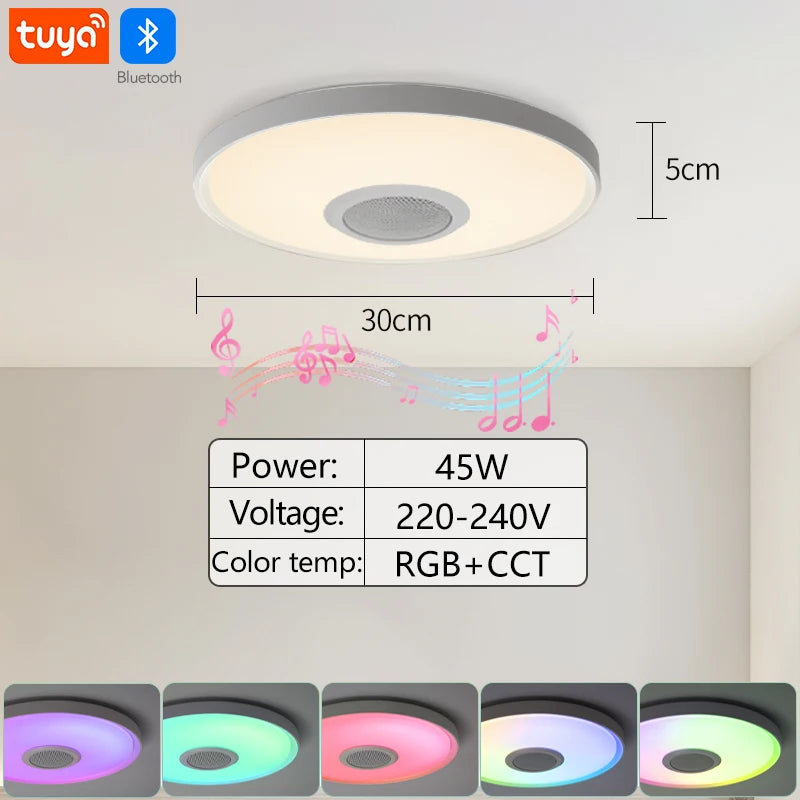 Smart Ceiling Lamp