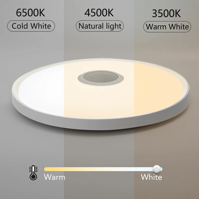 Smart Ceiling Lamp