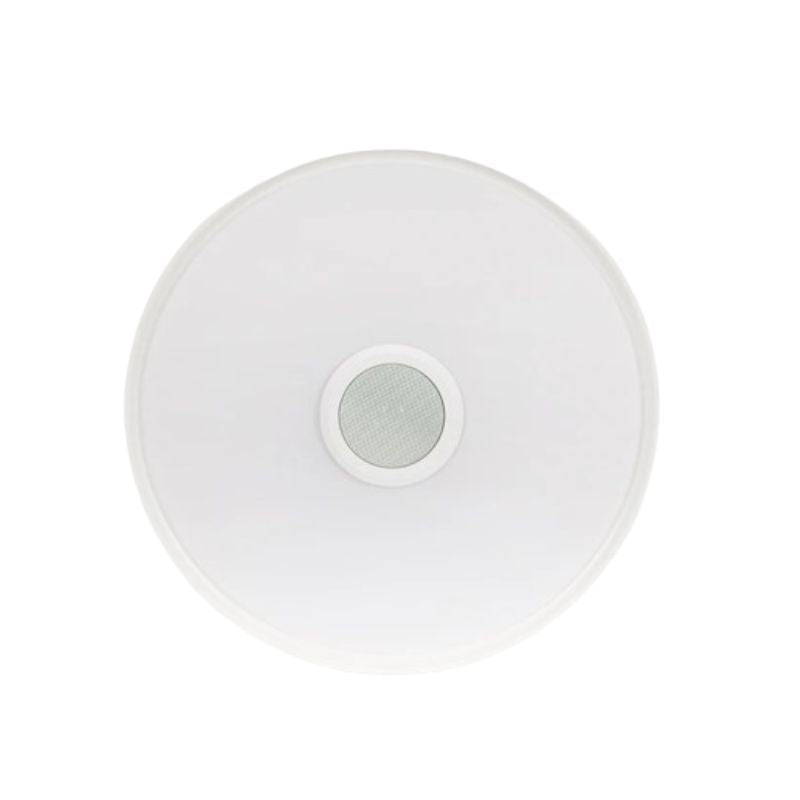 Smart Ceiling Lamp